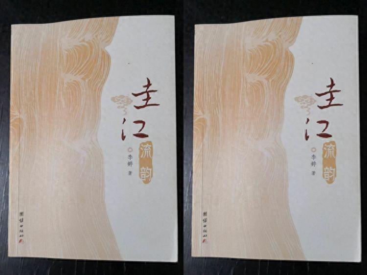 許清清｜火紅的玫瑰——李婷和她的“流韻三部曲”