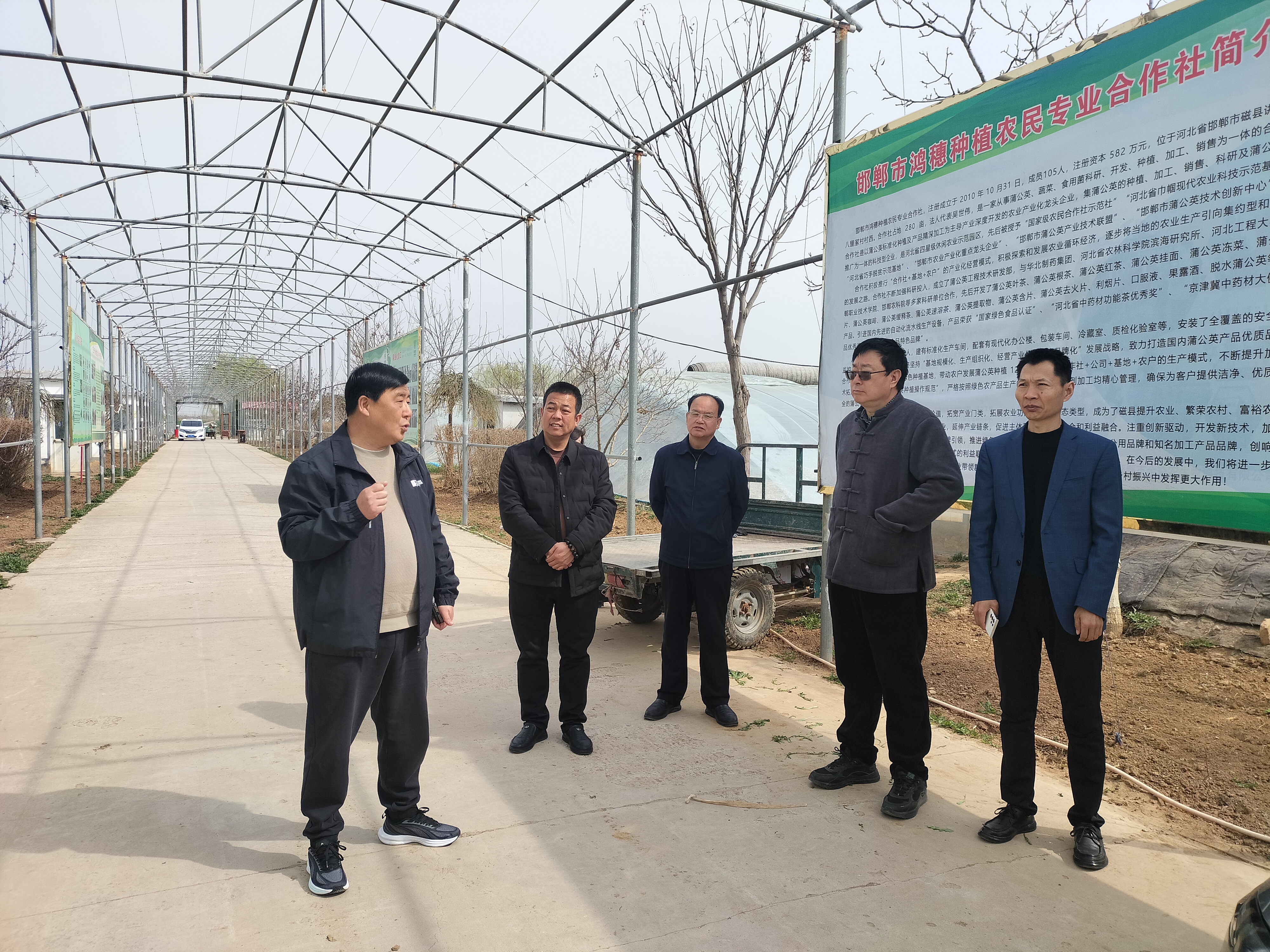 中媒企業(yè)文化發(fā)展工作委員會一行到河北蒲公英產業(yè)基地調研