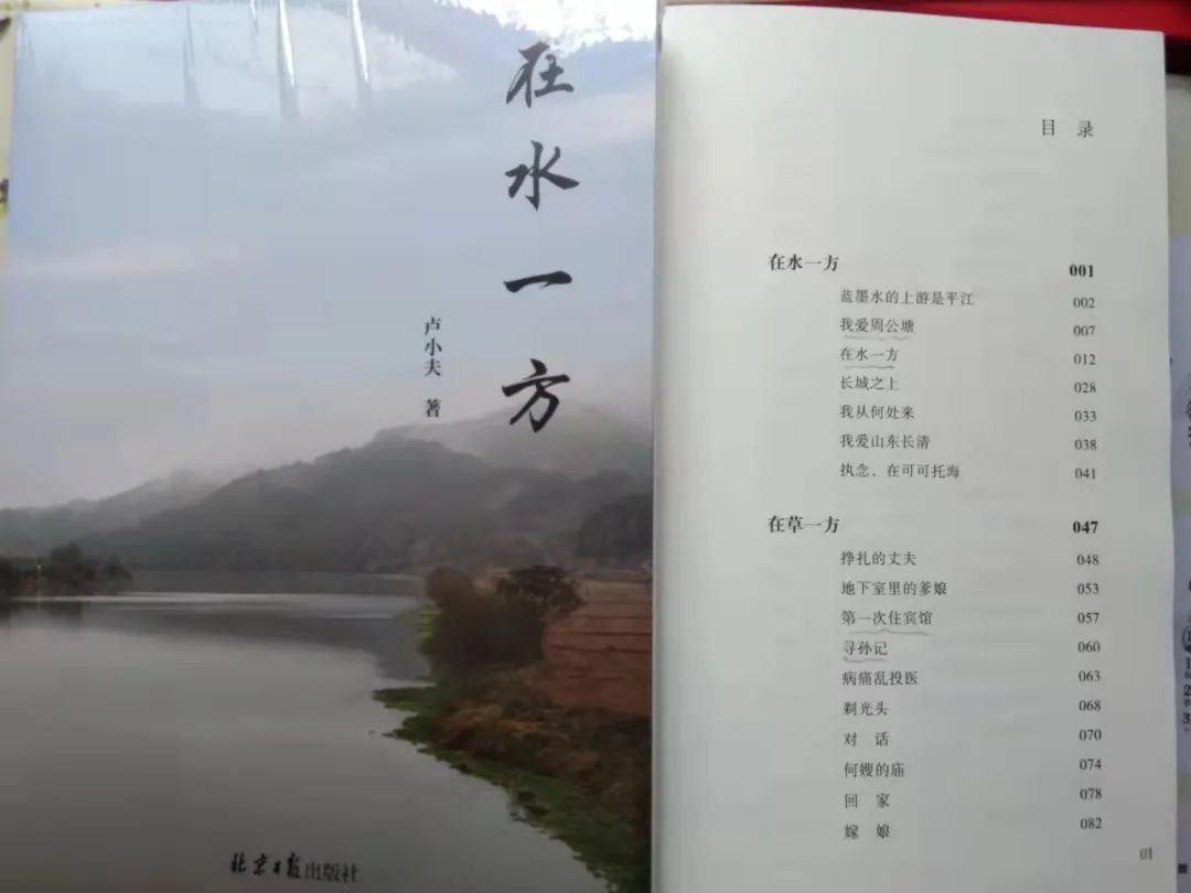 【視界晨報(bào)】王銀柱｜在水一方 妙趣橫生